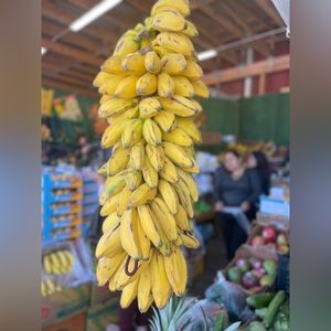 Meet your Posher, Zoraida